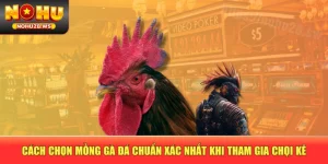 Cách Chọn Mồng Gà Đá Chuẩn Xác Nhất Khi Tham Gia Chọi Kê