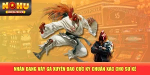 Nhận Dạng Vảy Gà Xuyên Đao Cực Kỳ Chuẩn Xác Cho Sư Kê