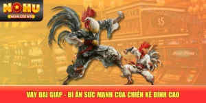 Vảy Đại Giáp - Bí Ẩn Sức Mạnh Của Chiến Kê Đỉnh Cao
